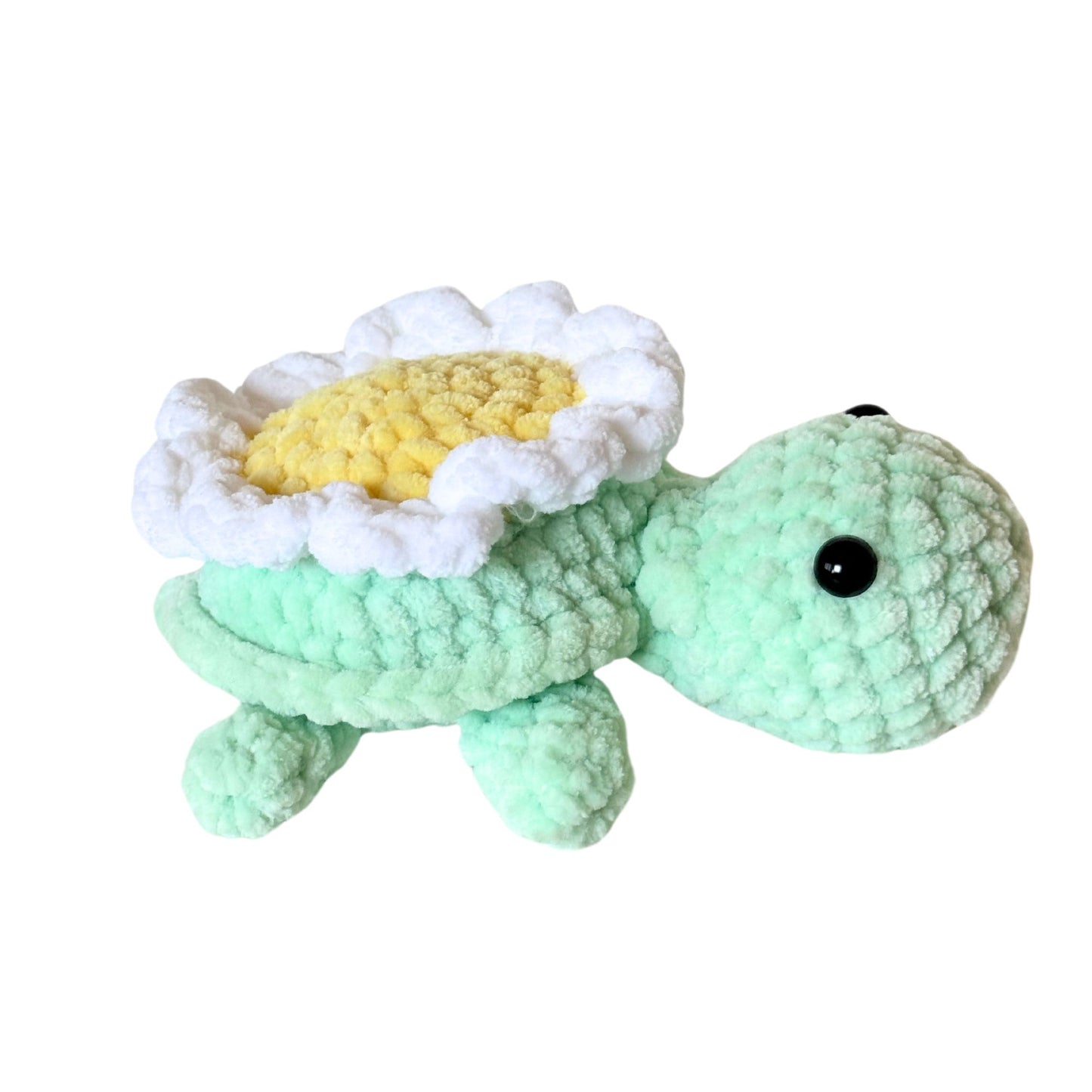 Daisy Turtle