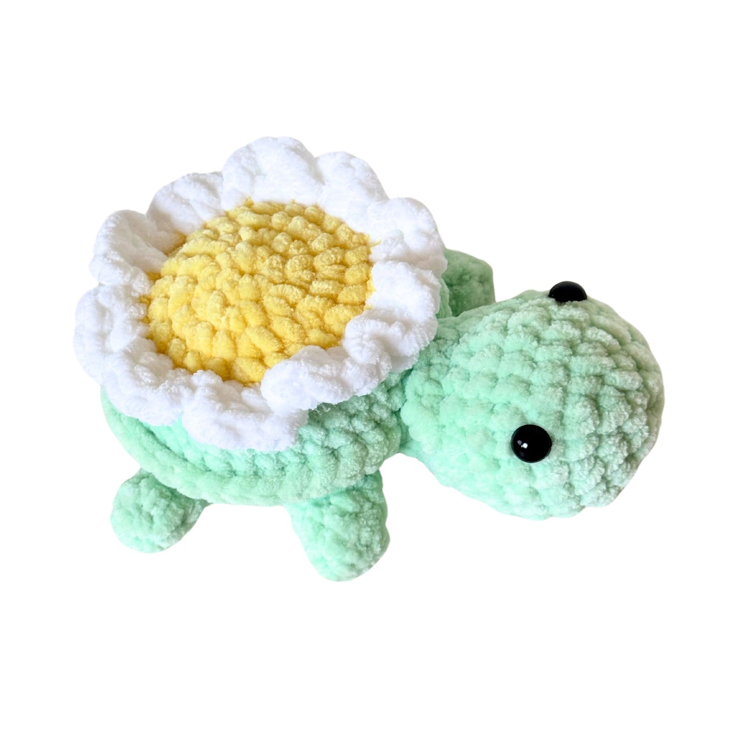 Daisy Turtle