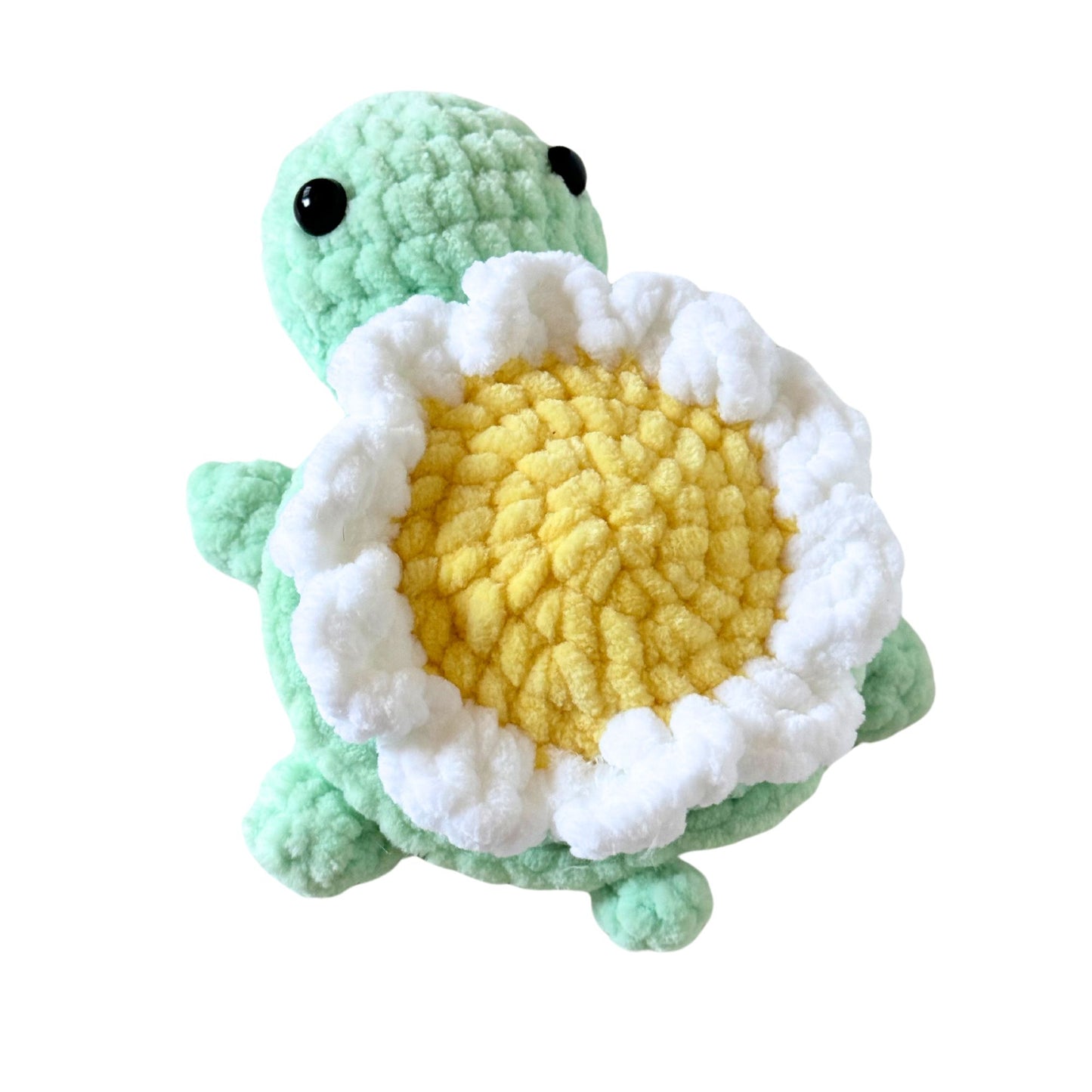 Daisy Turtle