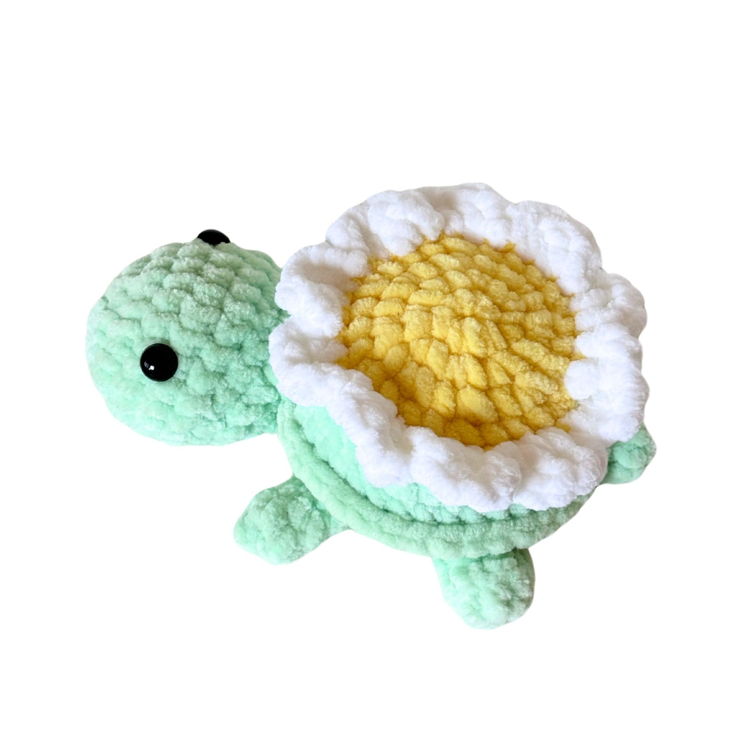 Daisy Turtle