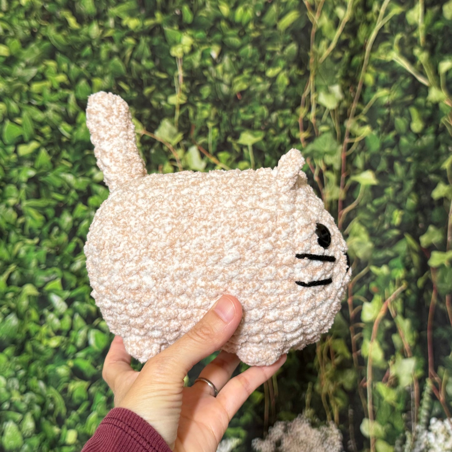 Coconut - Loaf Cat