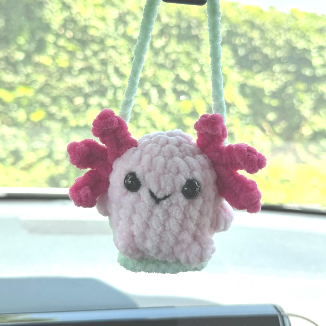 Axolotl Car Swing