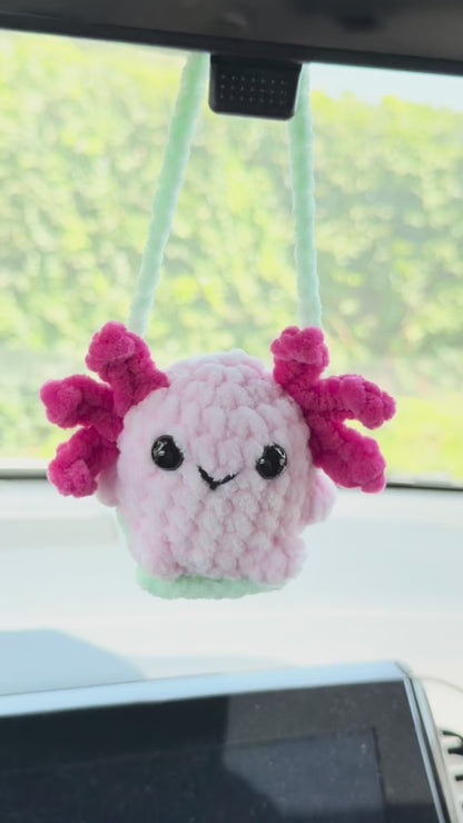 Axolotl Car Swing